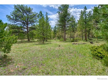 73 Sparn Way, Ward, CO 80481