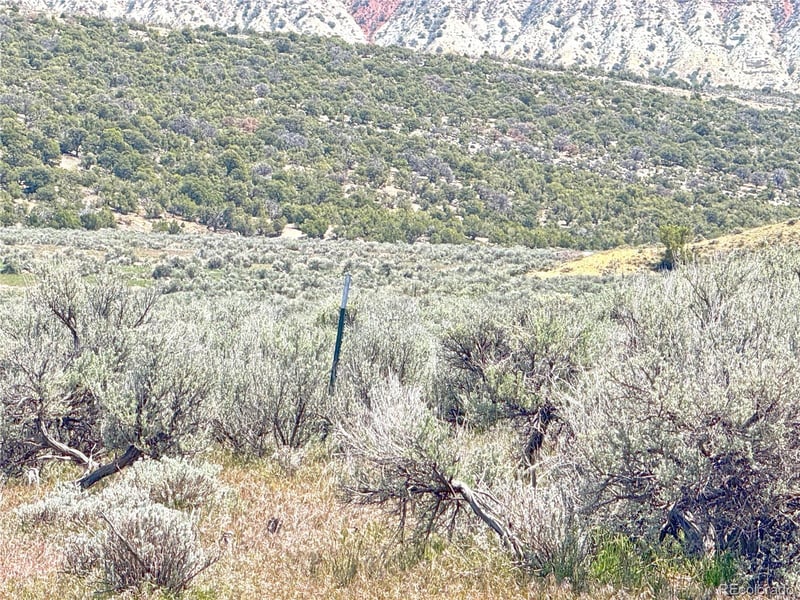 Tbd , Dinosaur, CO 81610
