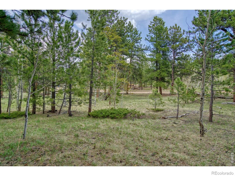 Sparn Way, Jamestown, CO 80302