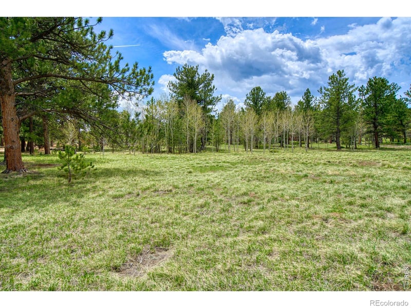 Sparn Way, Jamestown, CO 80302