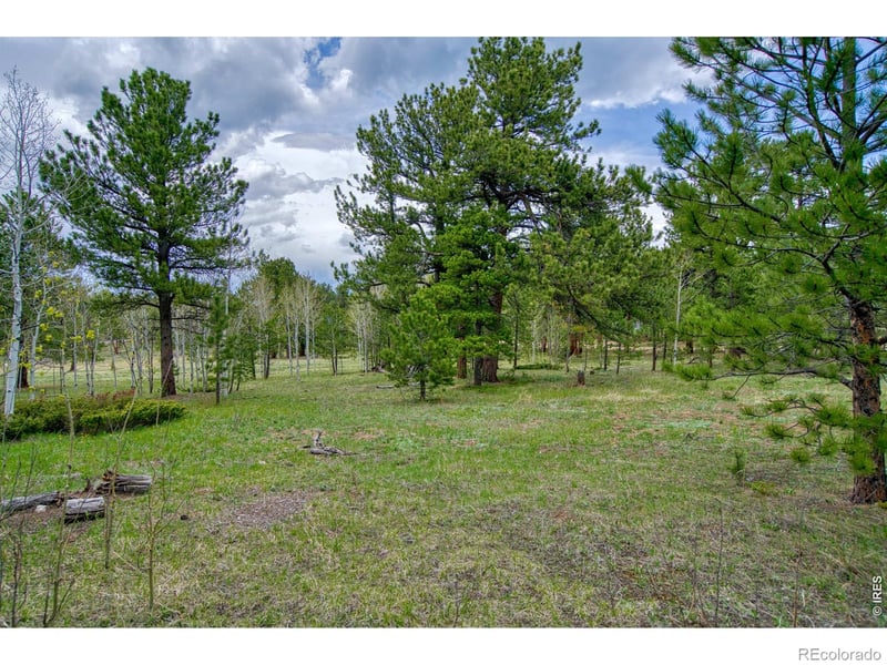 Sparn Way, Jamestown, CO 80302