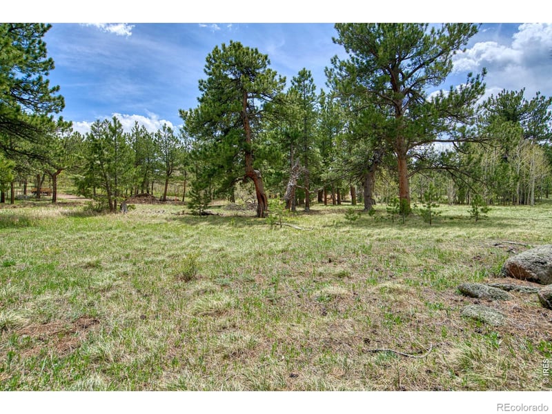 Sparn Way, Jamestown, CO 80302