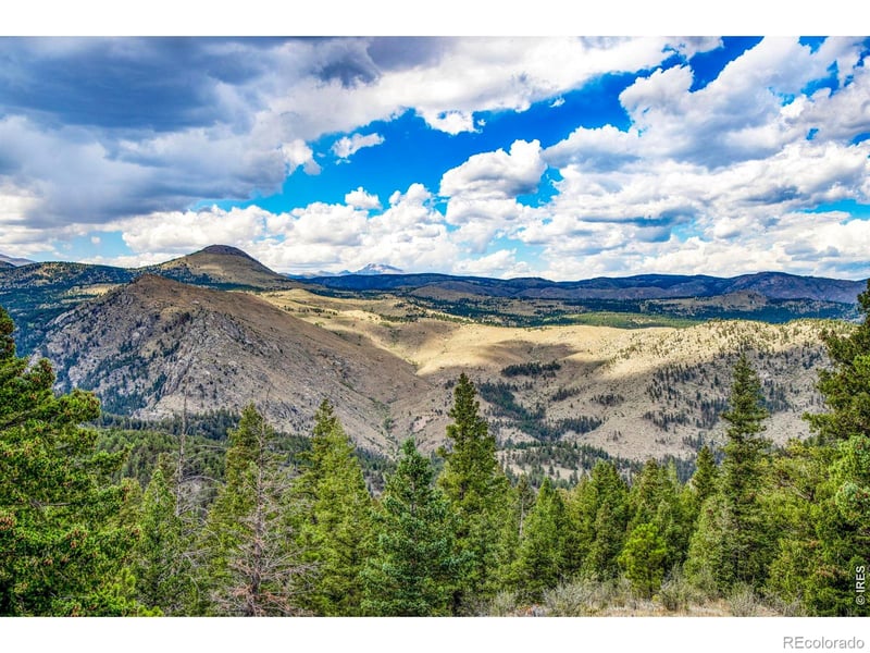 2692 Magnolia Dr, Nederland, CO 80466
