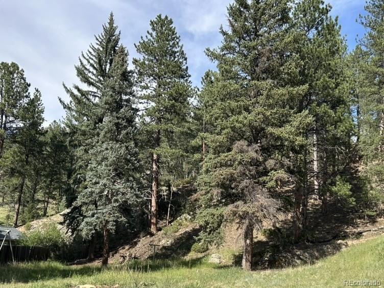 5190 Country Road 73 Lot 32, Evergreen, CO 80439