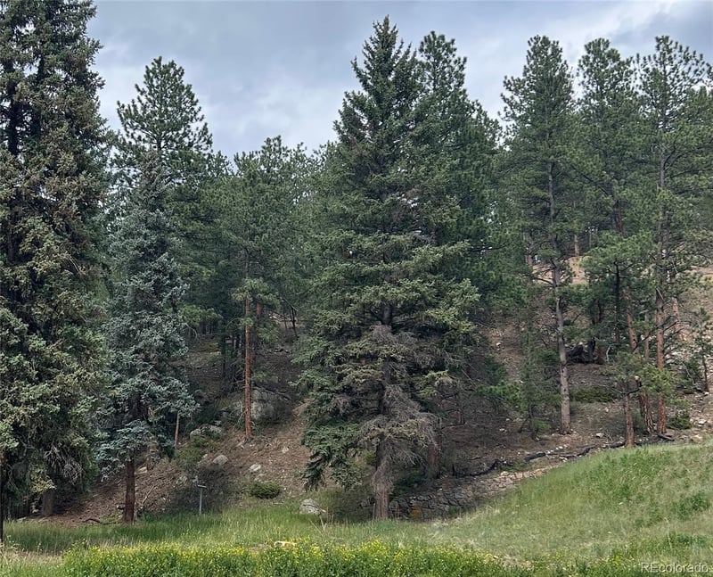 5190 Country Road 73 Lot 32, Evergreen, CO 80439