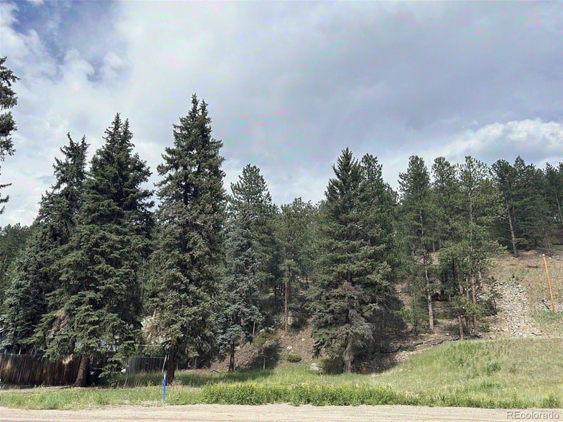 5190 County Road 73 Lot 32, Evergreen, CO 80439