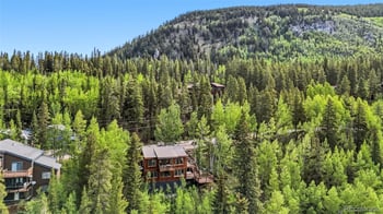 178 Indiana Creek Dr, Breckenridge, CO 80424