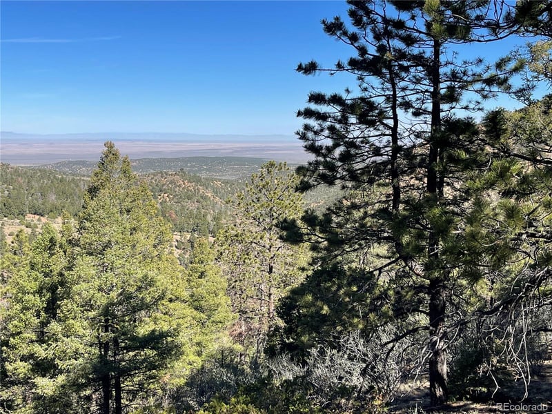 6168 Hoadley Rd, Fort Garland, CO 81133