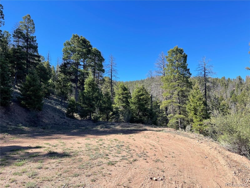 6168 Hoadley Rd, Fort Garland, CO 81133
