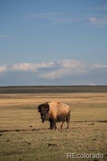 33185 Highway 9, Hartsel, CO 80449
