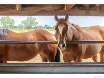 6789 Niwot Rd, Longmont, CO 80503