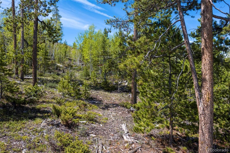 330 Cirrus Way Lot 31, Granby, CO 80446