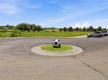 18657 Stroh Rd #4206, Parker, CO 80134