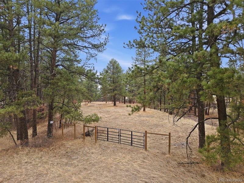Park Dr Lot 2-A, Franktown, CO 80116
