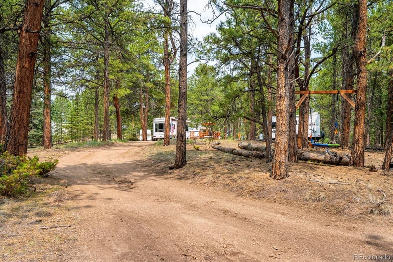 1459 Conestoga Creek Rd, Florissant, CO 80816
