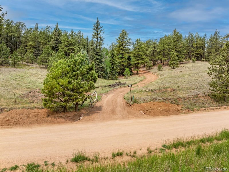 1459 Conestoga Creek Rd, Florissant, CO 80816