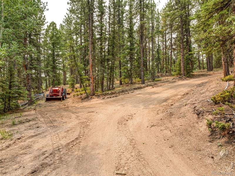 1459 Conestoga Creek Rd, Florissant, CO 80816