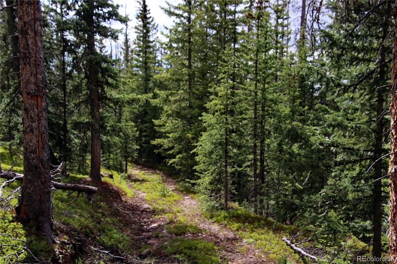 000 Schlueter Rd, Fort Garland, CO 81133