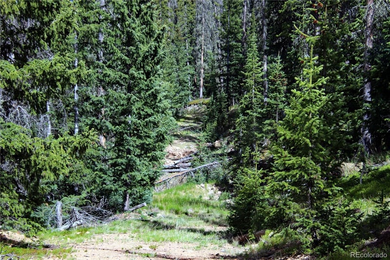 000 Schlueter Rd, Fort Garland, CO 81133