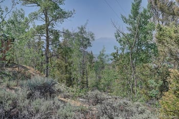 3029 Yankee Blade, Granite, CO 81228