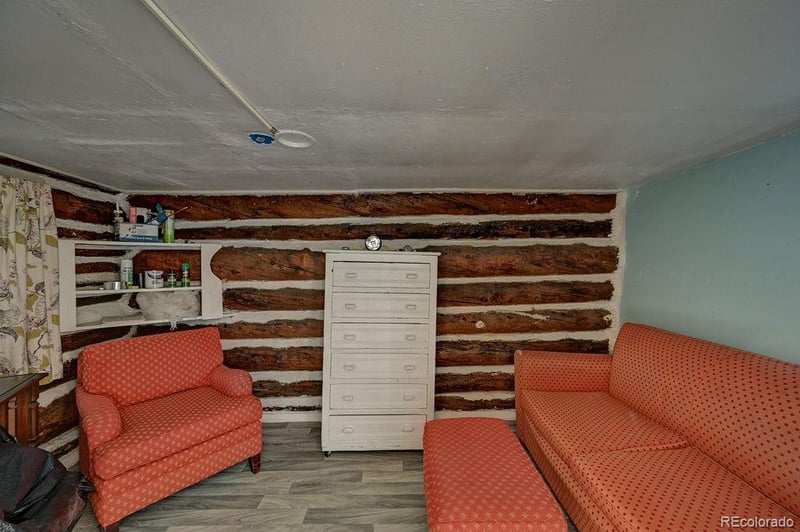 3029 Yankee Blade, Granite, CO 81228