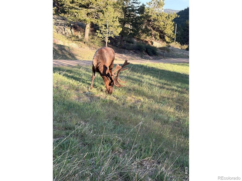 408 Meadowview Dr, Estes Park, CO 80517