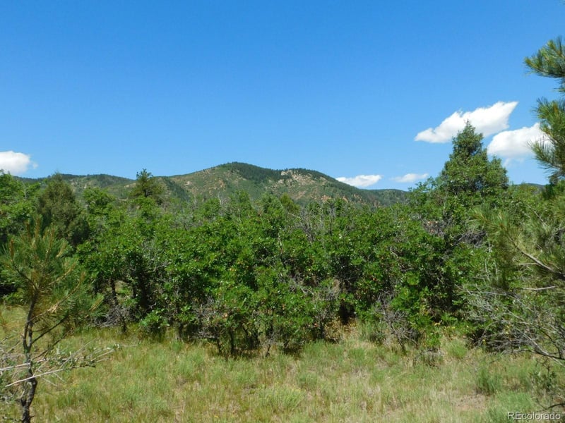 6447 Thunderbird Rd, Larkspur, CO 80118