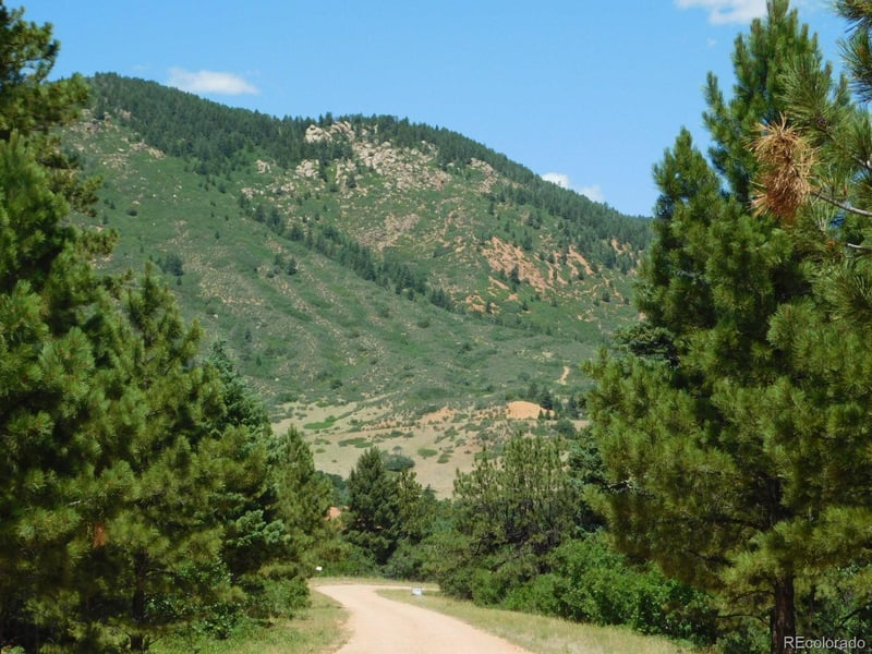 6447 Thunderbird Rd, Larkspur, CO 80118