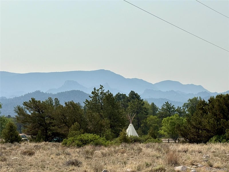 10795 County Road 197a #127, Nathrop, CO 81236
