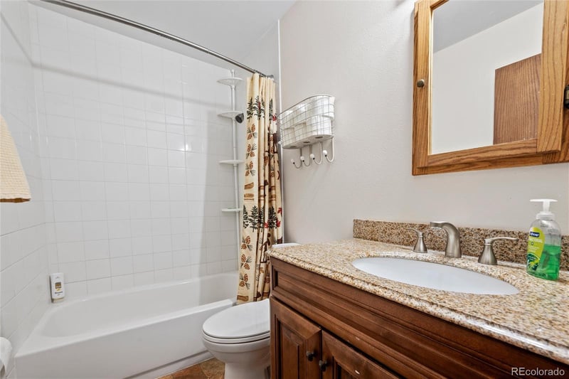 10000 Ryan Gulch Rd #101, Silverthorne, CO 80498