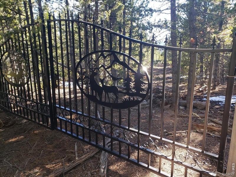 Forest Service 169 Lot #10 Rd, Red Feather Lakes, CO 80545