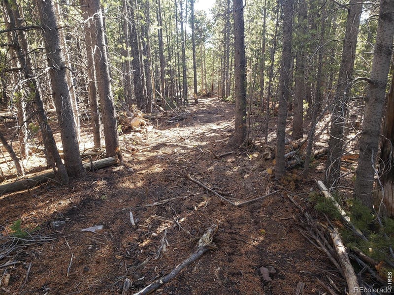 Forest Service 169 Lot #10 Rd, Red Feather Lakes, CO 80545