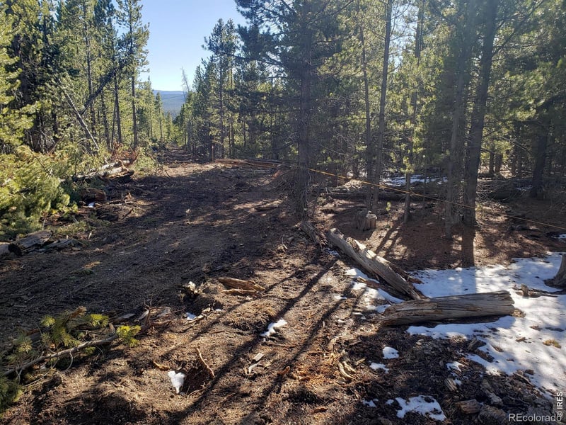 Forest Service 169 Lot #10 Rd, Red Feather Lakes, CO 80545