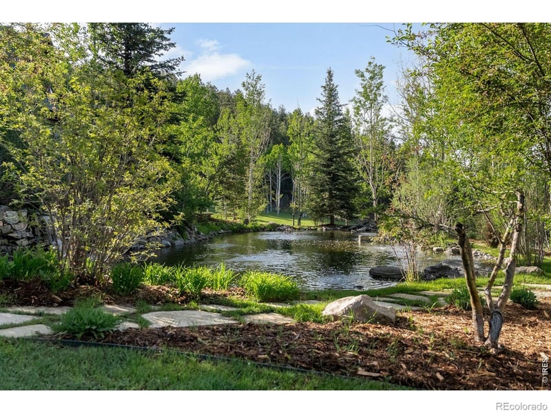 29700 Sunset Trl, Conifer, CO 80433