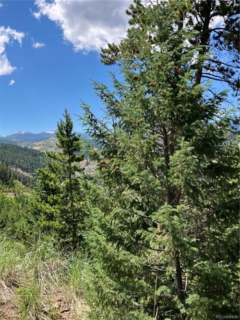 3 Miners Rd, Black Hawk, CO 80422