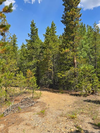000 Virginia Canyon Rd, Central City, CO 80427