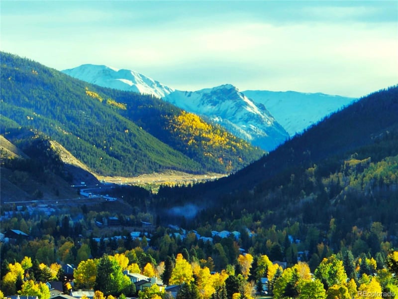 562 Piney Acres Cir, Dillon, CO 80435