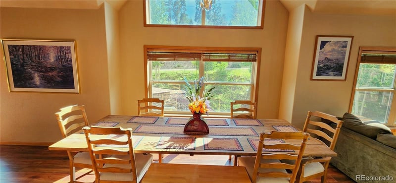 562 Piney Acres Cir, Dillon, CO 80435