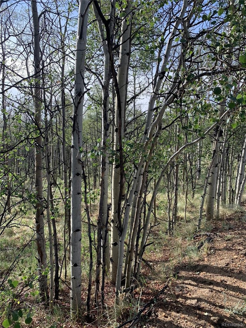 540 Vulture Ln, Como, CO 80432