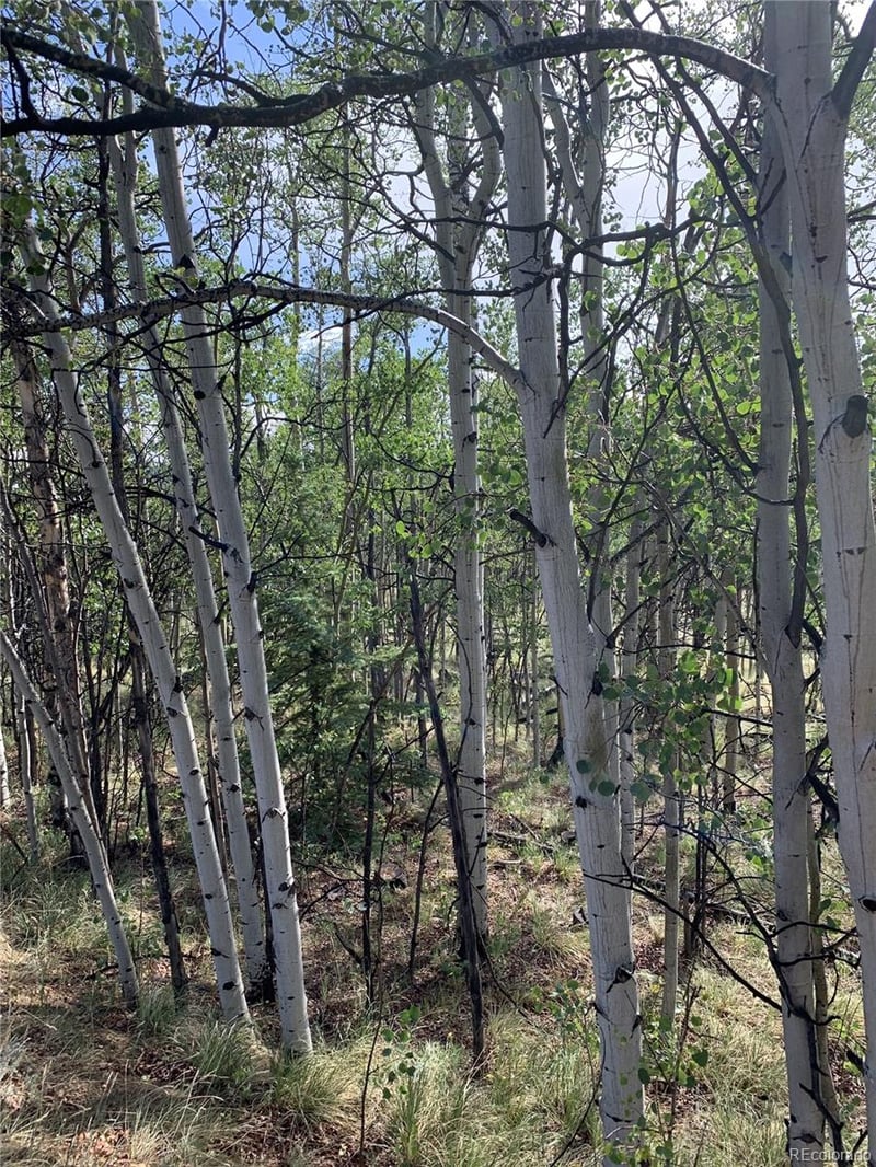 540 Vulture Ln, Como, CO 80432