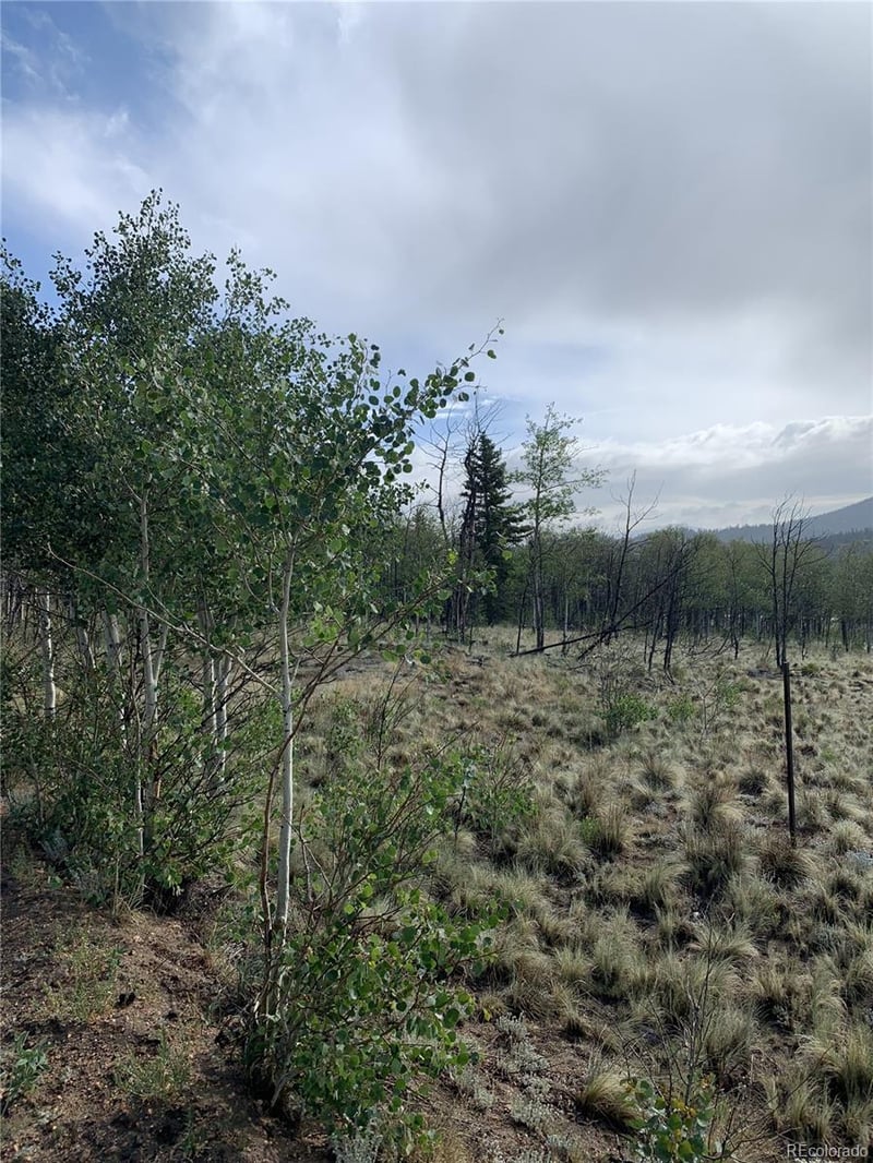 540 Vulture Ln, Como, CO 80432