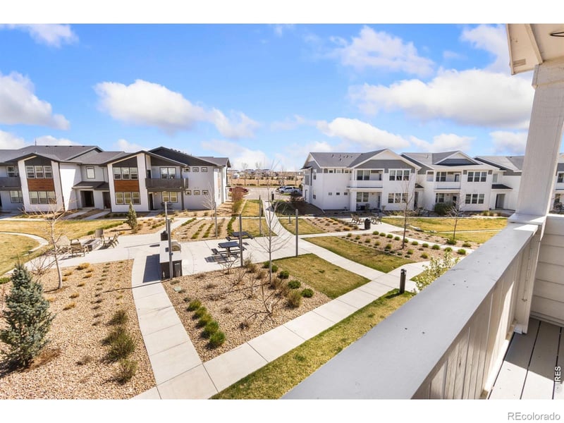 1805 Bounty Dr #3, Windsor, CO 80550