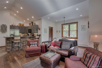 680 S Main St #9, Breckenridge, CO 80424
