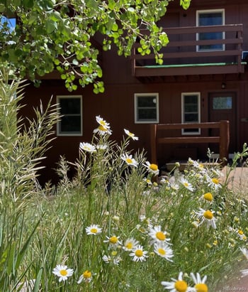 41 Poplar Cir, Silverthorne, CO 80498
