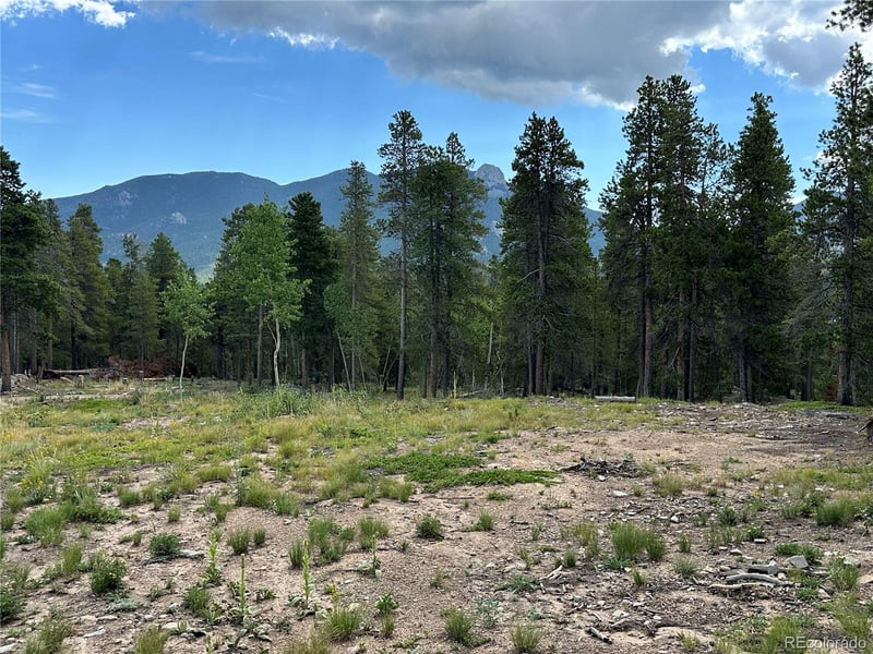 754 Mountain Meadows Dr, Black Hawk, CO 80422