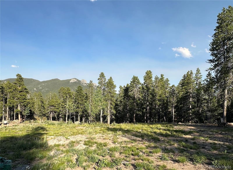 754 Mountain Meadows Dr, Black Hawk, CO 80422
