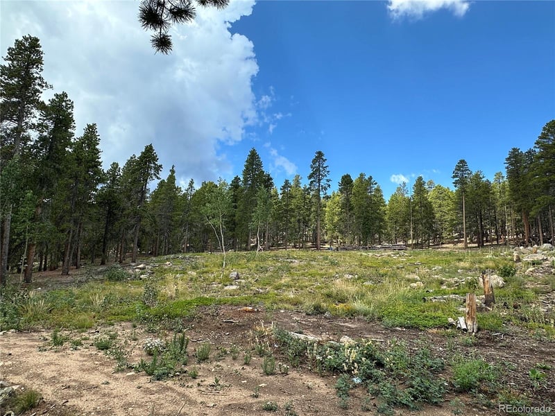 754 Mountain Meadows Dr, Black Hawk, CO 80422