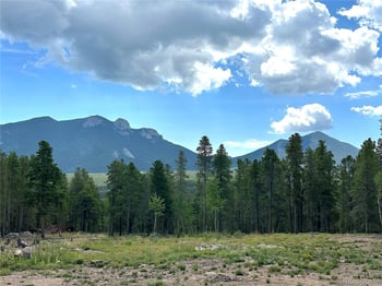 754 Mountain Meadows Dr, Black Hawk, CO 80422