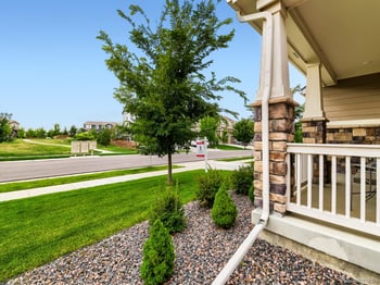 497 Gold Hill Dr, Erie, CO 80516