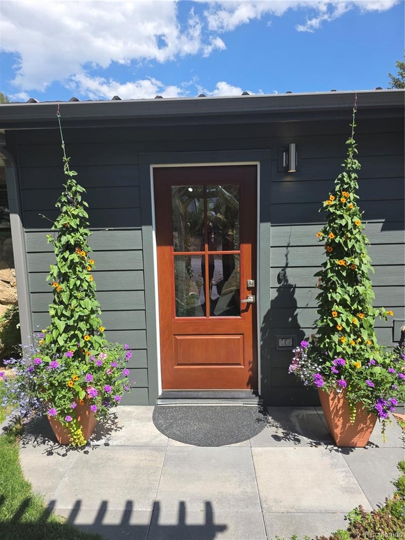 62 Cowles St, Empire, CO 80438